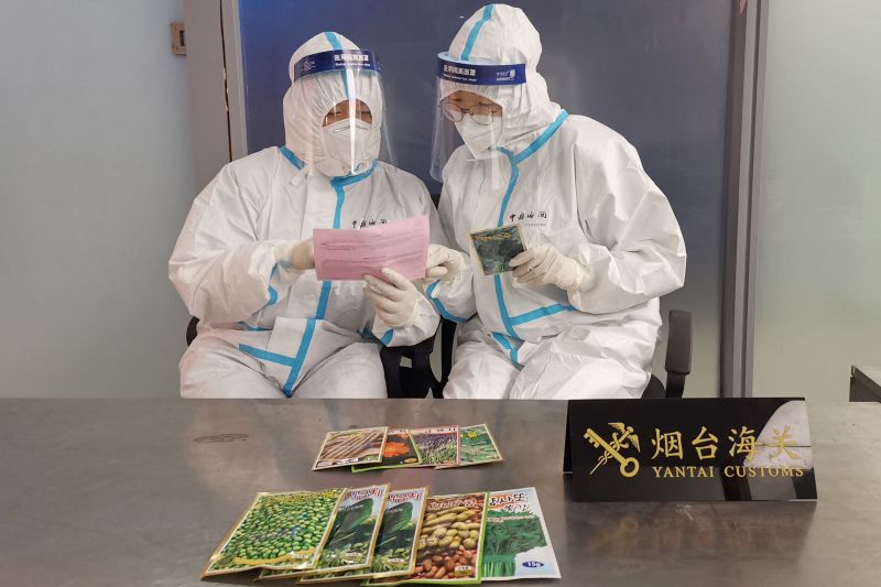 9个品种植物种子非法入境被查获（图）